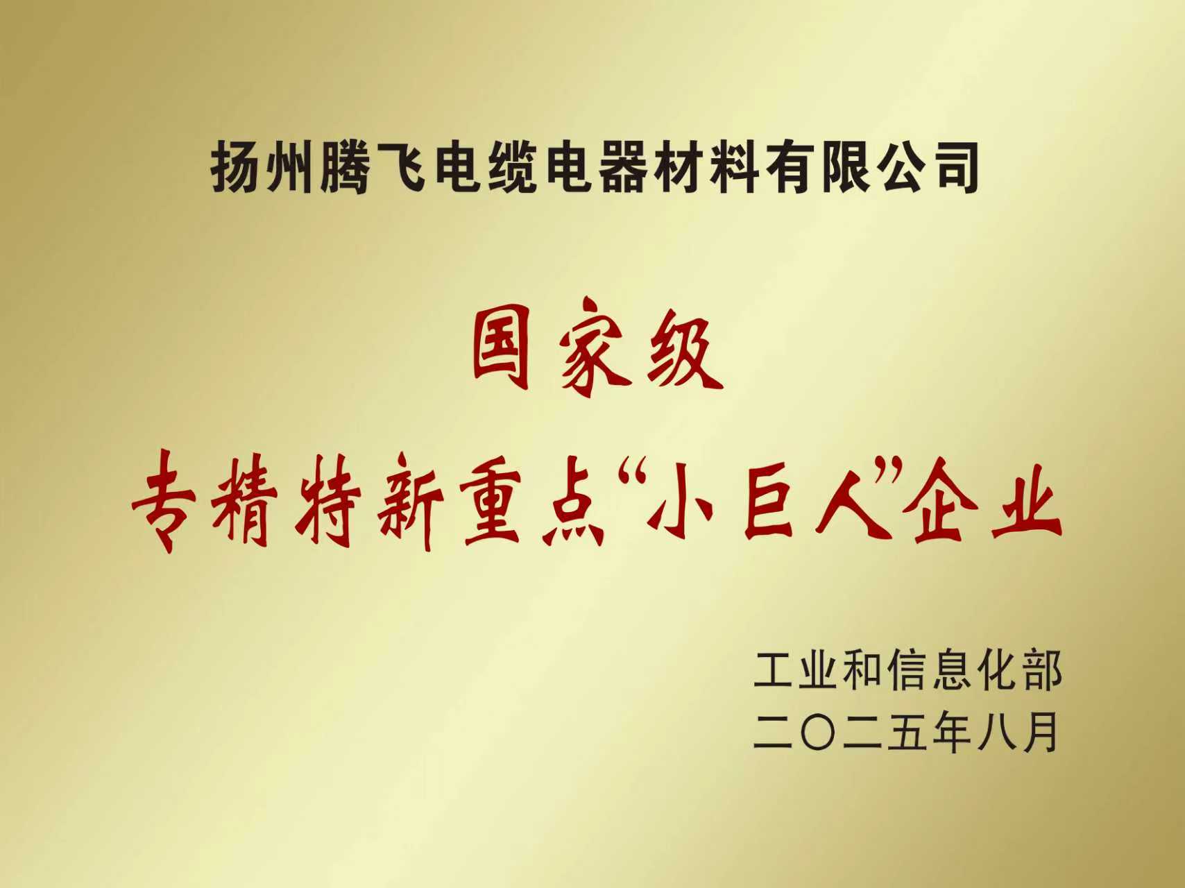國家級專精特新重點”小巨人“企業